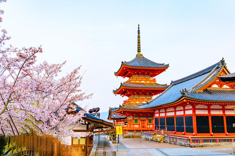 Excursão de um dia a Kyoto e Nara com Kiyomizu-dera, Parque e Templo de Nara9h50 para buscá-lo em Kyoto