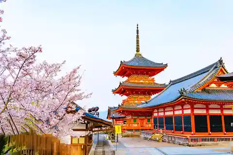 Kyoto and Nara Day tour with Kiyomizu-dera,Nara Park&Temple