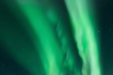 Rovaniemi: 5-star Northern Lights Tour + Pro Photos & Videos Aurora Hunting Photo Tour - another best seller ♥︎♥︎♥︎♥︎♥︎