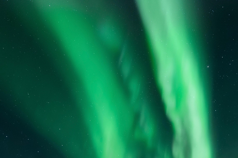 Rovaniemi: 5-star Northern Lights Tour + Pro Photos & Videos Aurora Hunting Photo Tour - another best seller ♥︎♥︎♥︎♥︎♥︎