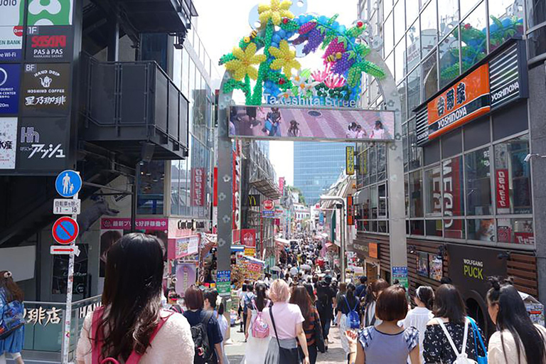 Tokyo: Customized Full-Day Tour