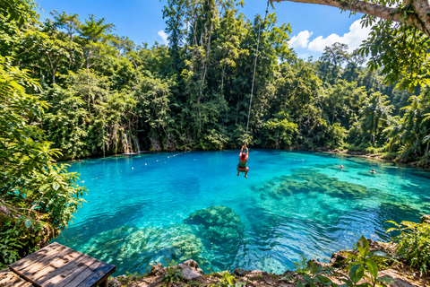 Cebu: Swim with Gentle Giants, Twin Falls & Sardine Run