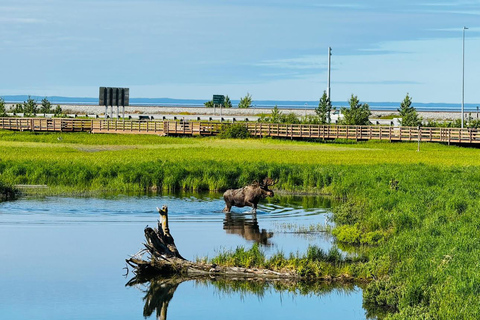 Seward to Anchorage Scenic Tour with Airport drop-off