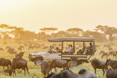 Kenya Big Five Safari