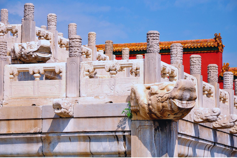 Beijing: Forbidden City & Panda Zoo Private Tour Beijing Panda Zoo （only ticket，not tour）