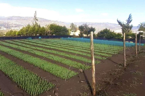 Desde Cajamarca: Llushcapampa Extremo