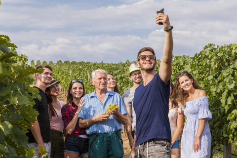 Parijs: Ontdek de kelders op het platteland in de Champagne