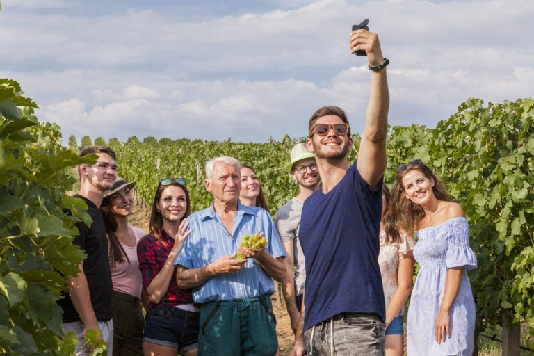 París: Descubre las bodegas de la campiña de Champaña