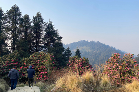 Descubre Nepal: Expedición de senderismo y vida salvaje de 12 días