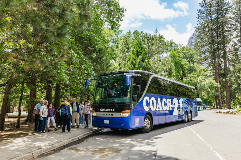 From San Francisco: Yosemite National Park Tour in English