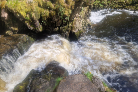 Breacon Beacons 4 watervallen met gids in dagwandeling vanuit Cardiff