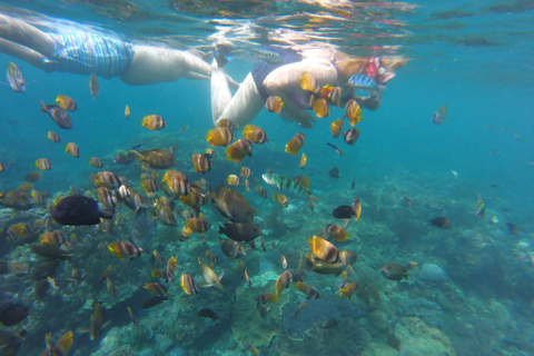 BFT Nusa Penida: Snorkeling to Manta Point &amp; Manta BayShare snorkeling group up 100 Pax