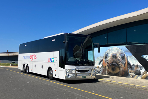 Vanuit Melbourne: Phillip Is Pinguïn Parade &amp; Koala Reservaat