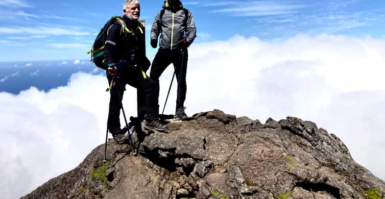 The BEST Pico Island Tours And Things To Do In 2024 - FREE Cancellation ...