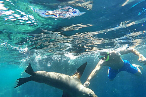 La Paz: Espíritu Santo Island, Balandra Beach, and Sea Lions – All-Inclusive La Paz: Espíritu Santo Island and Balandra, All-Inclusive