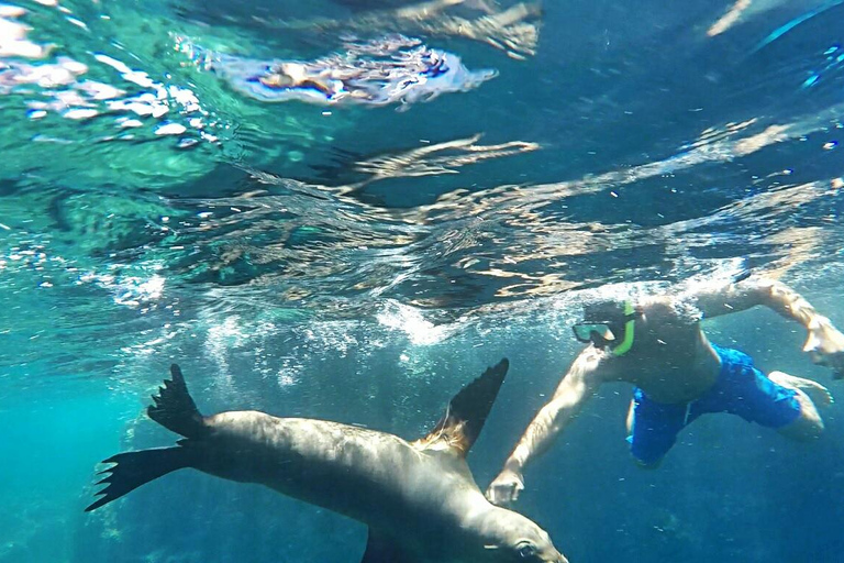 La Paz: Espíritu Santo Island, Balandra Beach, and Sea Lions – All-Inclusive La Paz: Espíritu Santo Island and Balandra, All-Inclusive