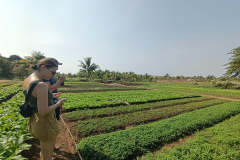 Kampot: Full-day Countryside Tour with Pepper Farm and Kep