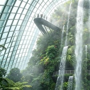 Gardens by the Bay: From Reclaimed Land to Future Wonders Gardens by the Bay: From Reclaimed Land to Future Wonders