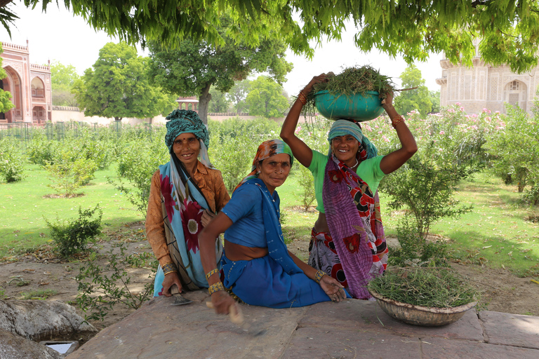 Depuis Jaipur : Excursion privée d&#039;une journée au Taj Mahal et à Agra
