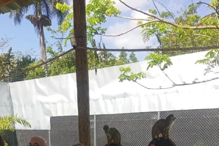 Puerto Plata: Monkey Home Encounter Adventure