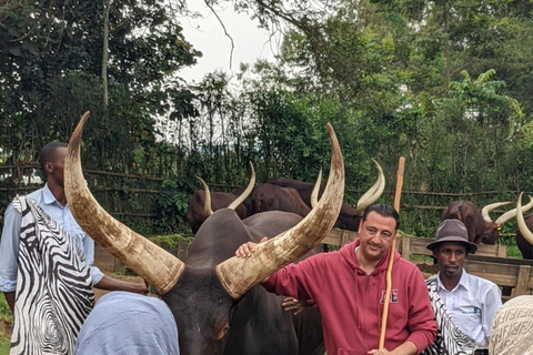 Kigali: 2-Day Nyungwe Canopy Walk, Zipline & Waterfall Tour
