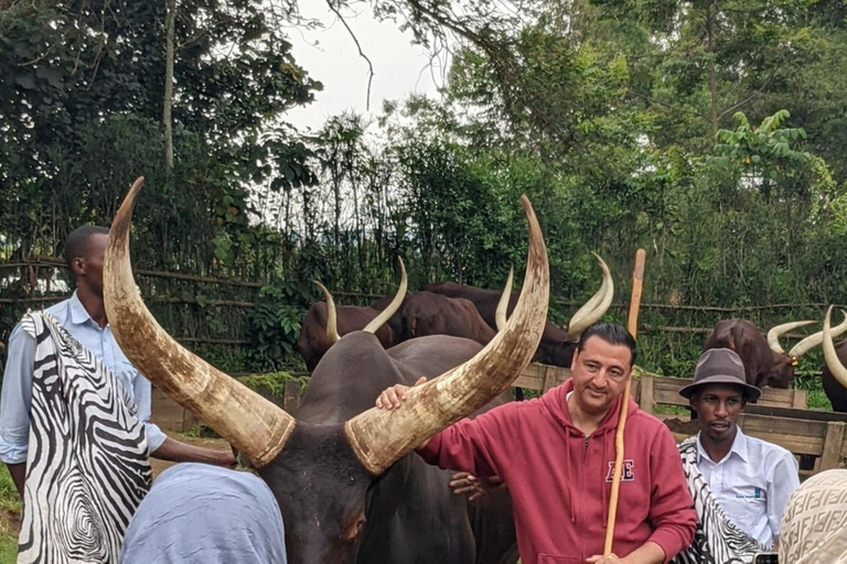 Kigali: 2-Day Nyungwe Canopy Walk, Zipline & Waterfall Tour