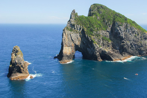 Au départ d&#039;Auckland : Visite d&#039;une jounée à la Bay of Islands