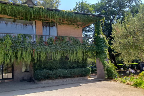 Wineries Tour in Casablanca Valley from Valparaiso Shared tour