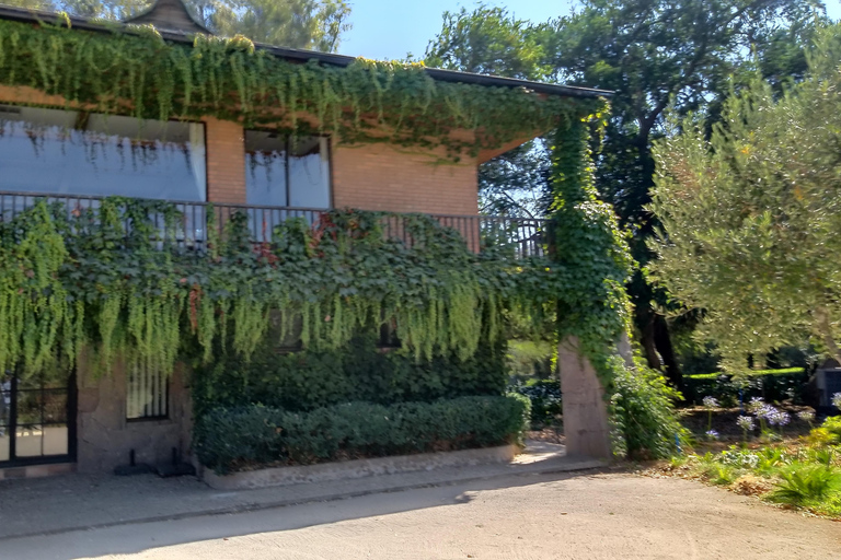 Wineries Tour in Casablanca Valley from Valparaiso Shared tour