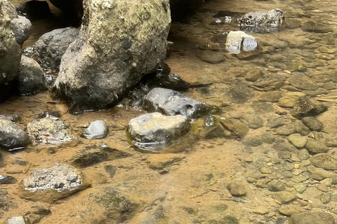 Yogyakarta: Hiking Nature Waterfall & Temples Tour Yogyakarta: Siluwok Waterfall & Temples Tour