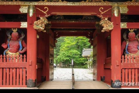 From Tokyo: Nikko UNESCO Sites Private English Guided Tour