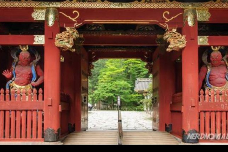 From Tokyo: Nikko UNESCO Sites Private English Guided Tour