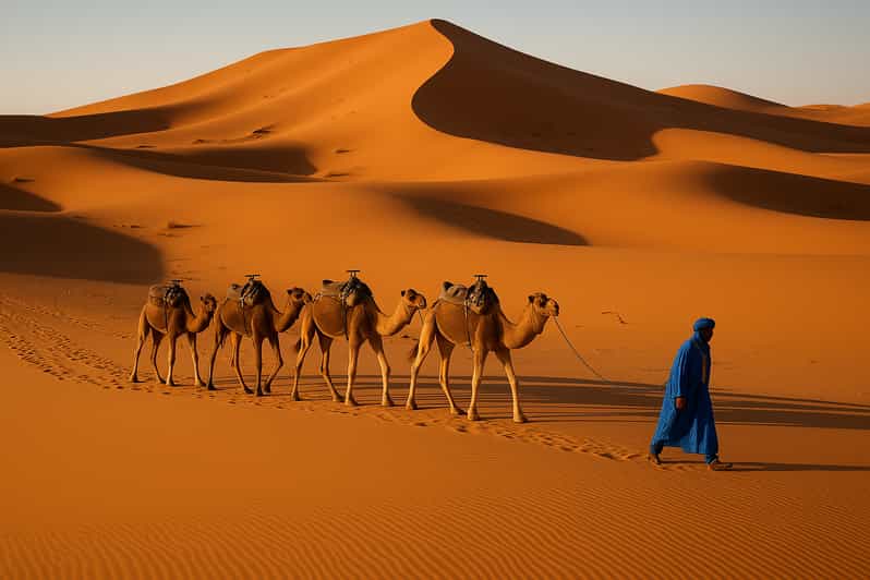 Depuis Fès : 3 jours dans le Sahara jusqu'à Marrakech - dromadaire