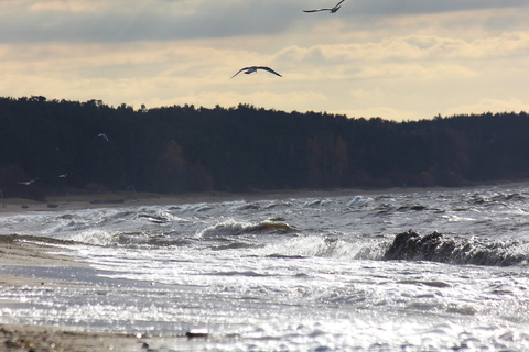 From Riga: Vidzeme Coast Half-Day Trip with Lunch