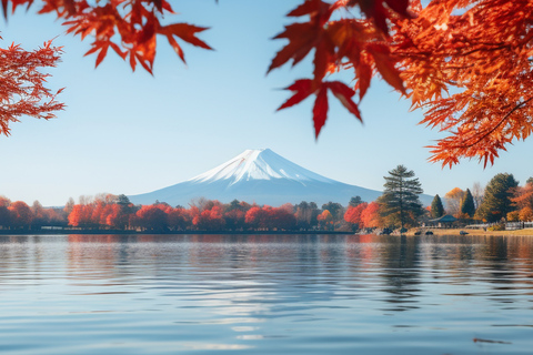 From Tokyo: Mt. Fuji Views Private Customize Itinerary Tour