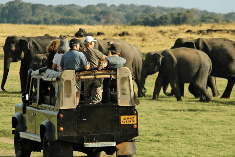 Hiriketiya: Yala Wildlife & Dry Zone Nature Experience