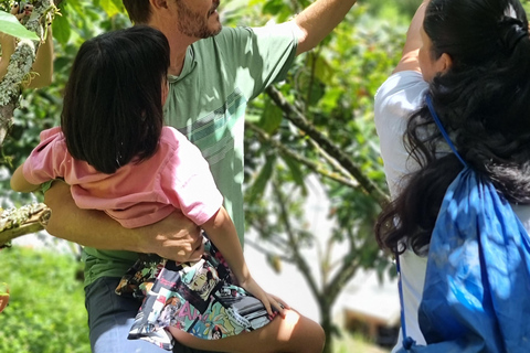 Medellin: Chocolate Farm Private Tour w/Workshop and Tasting