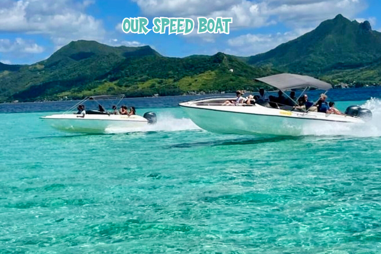 Mauricio: Isla Benitier - Nadar con delfines - Lancha rápida y barbacoa