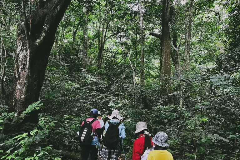 Private Cuc Phuong National Park Tagestour mit weiblichem Guide