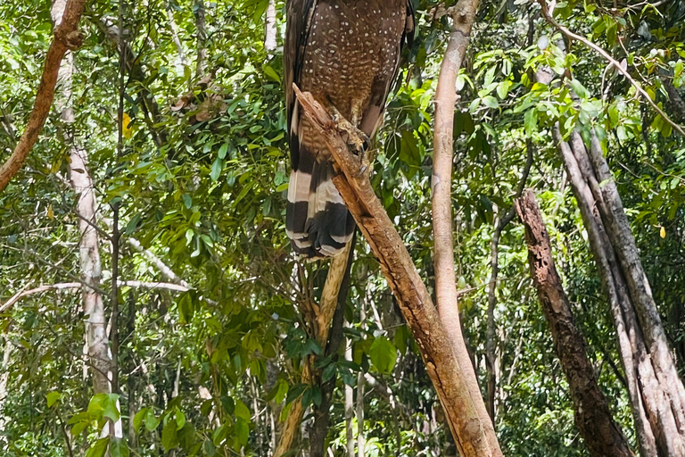 Wild Elephant Safari Tour Minneriya, Kaudulla & Hurulu ECO Start from Dambulla