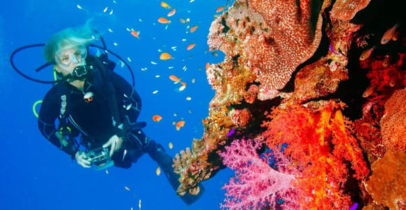 Punta Cana: Reef Diving Adventure Explore Underwater Wonders