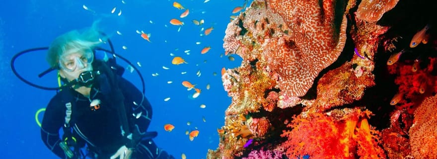 Punta Cana : Aventure de plongée récifale : explorez les merveilles sous-marines