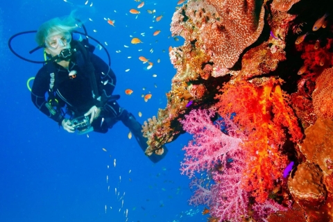 Punta Cana: Poznaj linię brzegową dzięki naszemu doświadczeniu w nurkowaniuDoświadczenie w nurkowaniu po raz pierwszy