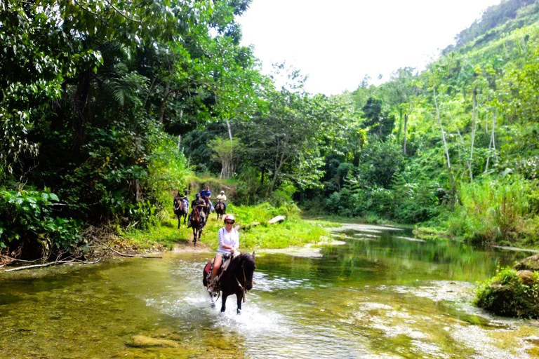 From Puerto Plata: Horseback ride along the mountain river