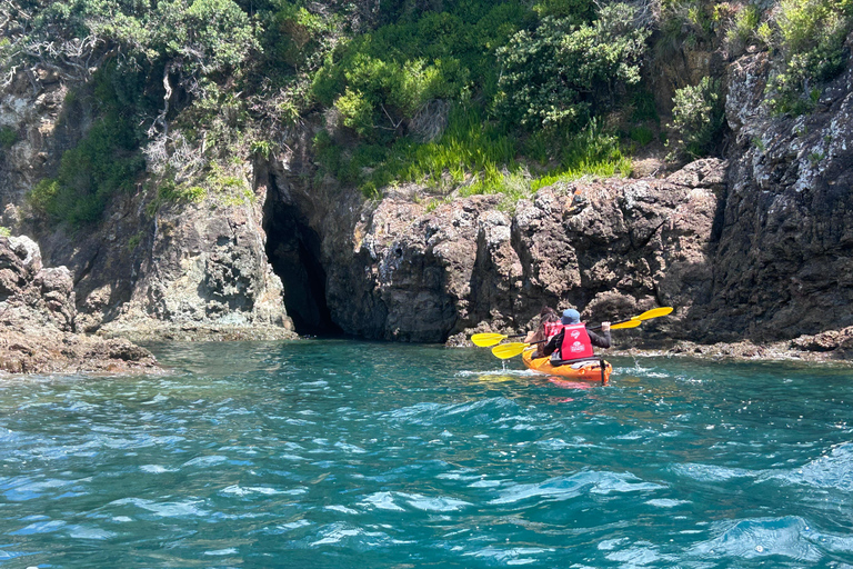 Bay of Islands: Island Discovery Kayak Tour - Afternoon