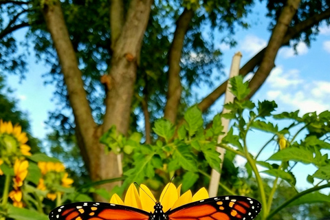 Quito: Mitad del Mundo and Mindo, birds, 7 waterfalls, cable car, butterfly farm