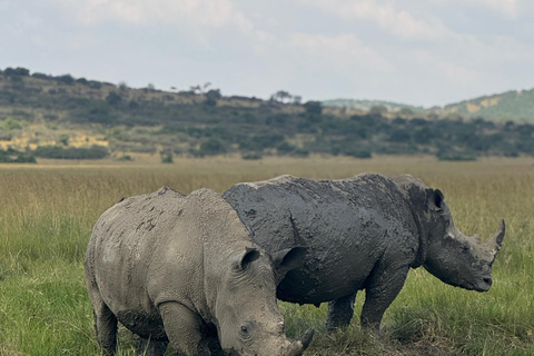 2 Days Akagera Wildlife Safari with Night Game Drive Option 2: Northern Akagera – Karenge Bush Camp