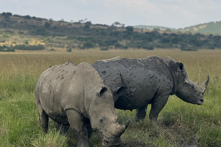 2 Days Akagera Wildlife Safari with Night Game Drive Option 2: Northern Akagera – Karenge Bush Camp