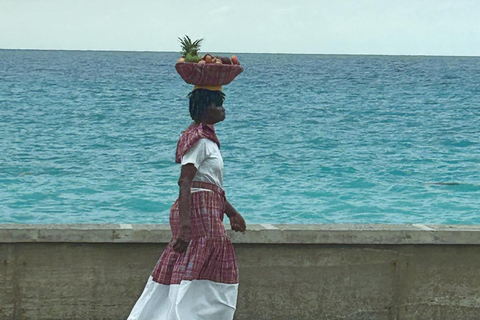 Excursión de un día a la playa de Doctors Cave, Margaritaville y de comprasDesde Falmouth/ Trelawny