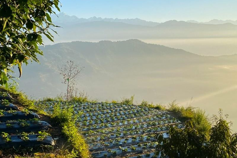 From Kathmandu: Sundarijal to Dhap Dam Guided Hike